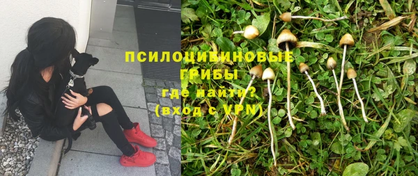 таблы Алексеевка