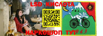 ГАЛЛЮЦИНОГЕННЫЕ ГРИБЫ Канаш