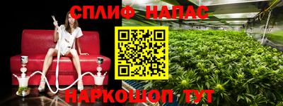 стаф Кандалакша