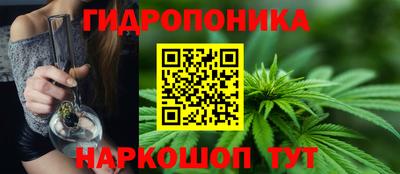 стаф Кандалакша