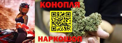 ГАЛЛЮЦИНОГЕННЫЕ ГРИБЫ Канаш
