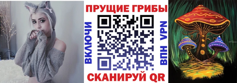 продажа наркотиков  Кыштым  Псилоцибиновые грибы GOLDEN TEACHER 