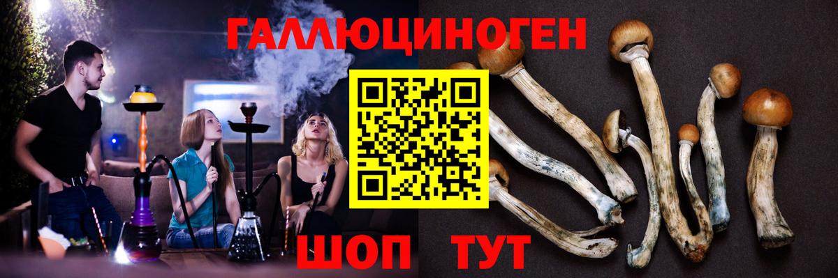 Галлюциногенные грибы мицелий  Вход с VPN  Кыштым  Псилоцибиновые грибы ЛСД 