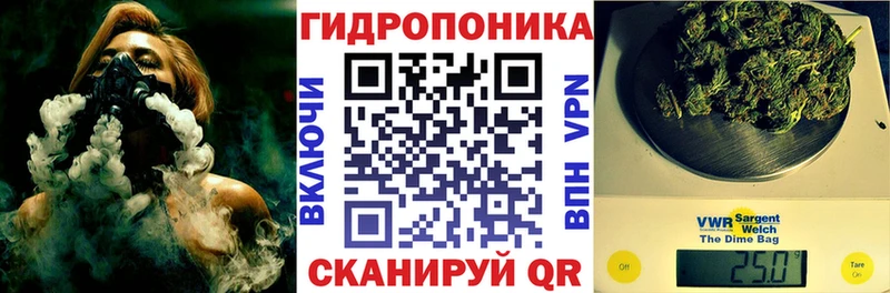 Бошки марихуана семена  Кыштым 